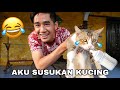 AKU SUSUKAN KUCING 😂🍼 KESIAN ADA KUCING MAT1 😢