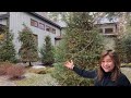 Rachael's Dreamy Outdoor Christmas Décor Tour | Christmas 2020