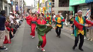 「ぬまづ熱風舞人」 第37回高幡不動参道 七夕まつり