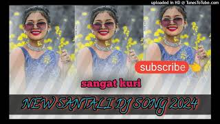 PANCHIT BURU NALA NALA NEW SANTHALI DJ SONG 2024_25