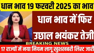 धान के भाव,20 फरवरी 2025 | dhan ke bhav | 1718 dhan ke bhav | basmati dhan mandi bhav | धान का भाव