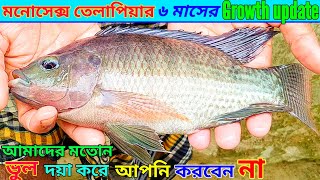 মনোসেক্স তেলাপিয়ার গ্রোথ আপডেট| Don't do this |Monosex tilapia farming |The Roshik Bangali ||