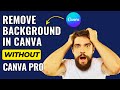 How to Remove Background in Canva for Free Without Canva Pro