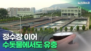 정수장 이어 수돗물에서도 유충 '비상'(2022.07.10/뉴스데스크/MBC경남)