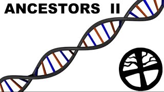 Projections and Heimdall (Ancestry II)