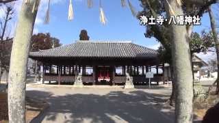 30秒の心象風景4782・拝殿の前に座る～浄土寺八幡神社狛犬～