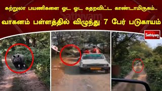 சுற்றுலா பயணிகளை ஓட ஓட கதறவிட்ட காண்டாமிருகம்.. வாகனம் பள்ளத்தில் விழுந்து 7 பேர் படுகாயம்