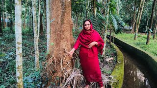 മാഷാഅള്ളാ 🤲 ഇന്ന് ഞമ്മളെ വീട്ട്ക്ക് വന്ന ഗസ്റ്റ് പ്രശസ്ഥ ഗായകനും മ്യൂസിക്ക് ഡയറക്ഷനുമായ #Bismi vlog#