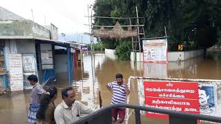 சிறுமுகை  பழத்தோட்டம் மழை நீரில்