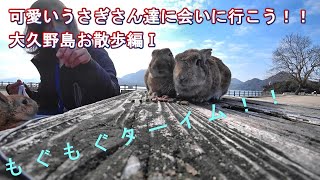 可愛いうさぎさん達に会いに行こう！！ 大久野島お散歩編Ⅰ