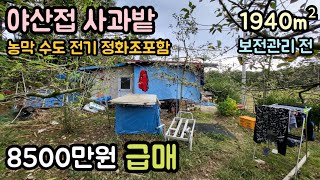 (매물번호14193) 8500만원 보은부동산 1940㎡(587) 보은땅 보은토지매매매물 청주부동산 시골땅 촌땅 귀농귀촌 사과밭 농막 주말농장 전원주택지 집터 대전부동산 대전토지