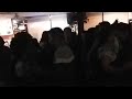 Carnavales Placita Spring Valley 2018