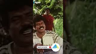 #Nesam #ajithkumar #maheswari #goundamani #senthil #manivannan #shorts #short #tamilmoviescenes