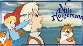 Nils Holgersson - épisode 31 - Le réveillon chez les animaux