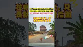 男子開車時遇狗狗攔路多次鳴笛也不走，幾秒後男子才發現，原來狗狗是在善意提醒，網友：萬物皆有靈，它用肢體語言已經提醒得很到位了！