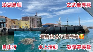 澎湖鳥嶼自由行（水上活動、海鳥餵食、潮間帶導覽、玄武岩導覽）