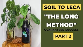 THE LONG METHOD | SUCCESSFULLY Move Plants to Leca Pt 2