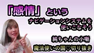 ✿吉岡純子✿「感情」というナビゲーションシステムを使いこなそう