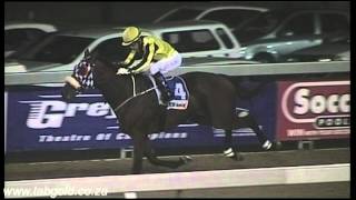 20150417 Greyville Race 7 won by SOLID SPEED