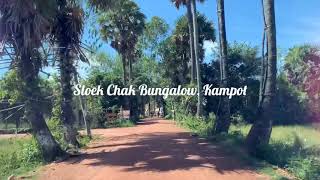 ស្លឹកចាកបឹងហ្គាឡូ Sloek Chak Bungalow 1 day tour