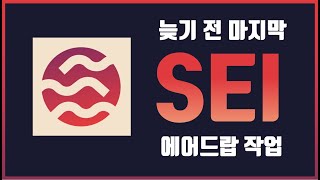 5일 남았습니다 세이(SEI) 네트워크 테스트넷 작업 총요약