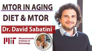 mTOR in Aging Ep5  - Diet \u0026 mTOR | Dr Sabatini Interview Series