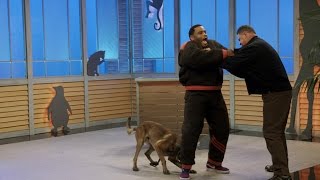 Dog Bites Host: See Anthony Anderson Take On An Attack Dog