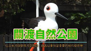 BiBi旅行者~關渡自然公園