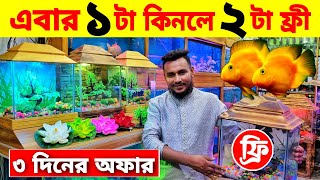 Aquarium Price In Bangladesh। Aquarium Fish Price In katabon। Aquarium Fish Price In Bangladesh 2023