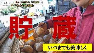 【じゃがいもの貯蔵】下準備・選別・本貯蔵