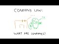 Company Law: What Companies Are in 4 Minutes