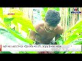 রপ্তানি বন্ধ হওয়ায় বিপাকে পটুয়াখালীর পান চাষি বেড়েছে উৎপাদন খরচও dbc news