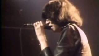 Ramones - Sheena Is A Punk Rocker (It's Alive 1977)