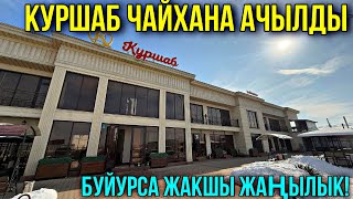 КУРШАБТА ЖАКШЫ ЖАҢЫЛЫК 🤯 #байтв