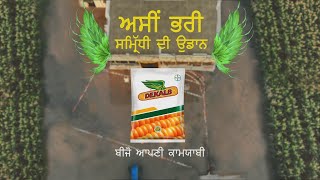 ਡੀਕਾਲਬ - ਬੀਜੋ ਅਪਣੀ ਕਾਮਯਾਬੀ | Punjabi | DEKALB – Seed your success