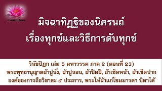 4 ม.ค. 67 | ความพยายามที่ไม่มีผล ความเพียรที่ไม่มีผล | ภันเตโตโต้ : บ้านสวนธัมมะ