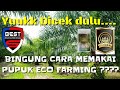 Cara Memakai Pupuk Organik Eco Farming di Kebun Sawit