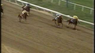 Slew of Damascus Hollywood Gold Cup 1994 - Seattle Slew's son (Triple Crown Winner)