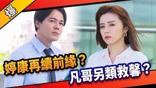 《八點檔搶先爆》市井豪門 EP235 婷康再續前緣？凡哥另類救馨？