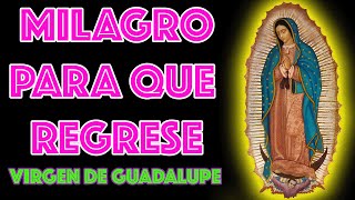 Reza este MILAGRO para que REGRESE esta noche | Virgen de GUADALUPE