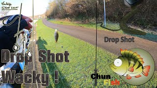 [Tuto] 🎣 Drop Shot en hiver 🥶 , mes conseils #dropshot #streetfishing