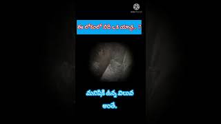 #ఓ యాత్రికుడా.... ఓహో యాత్రికుడా..# 🎵🎵whatsapp status# like \u0026🙏share gospel #