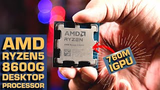 AMD Ryzen 5 8600G Desktop Processor