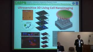 Illinois NanoBio Node - CABPN Workshop - CABPN Research Focus Overview