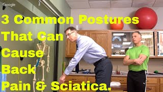 Science Says These 3 Common Postures Can Cause Back Pain/Sciatica. How to STOP.