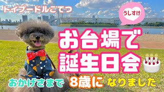 【ワンコとお出かけ】お台場のうしすけで誕生日会🎂