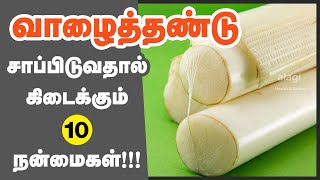 வாழைத்தண்டு மருத்துவ பயன்கள் | Top 10 Health Benefits of Banana Stem | Valai Thandu | Health Tips