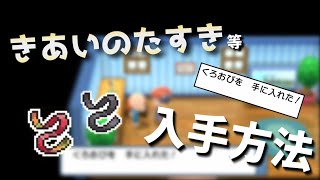 1日1つ無料！きあいのたすき他の入手方法！【ダイパリメイク】