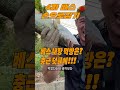 손으로 4자 배스를 잡아보아서 먹어보았다