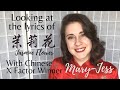 Lyrics of 茉莉花 (Mo Li Hua) Jasmine Flower with Winner of the Chinese X Factor: Mary-Jess